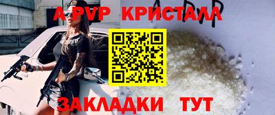 прущие грибы Ирбит
